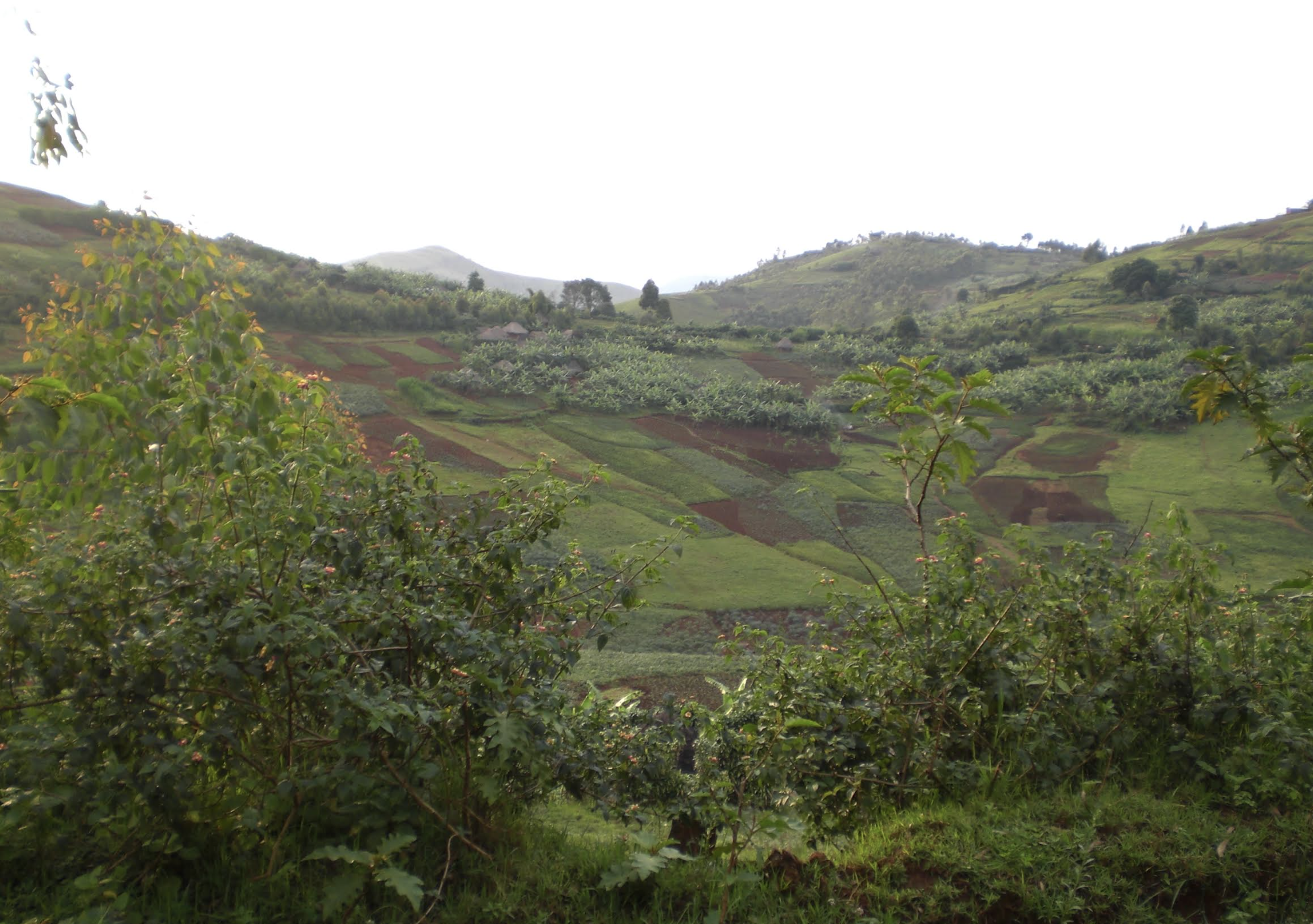 Drc Countryside F.A.S.T. Africa - Foundation for the Advancement of Science and ...
